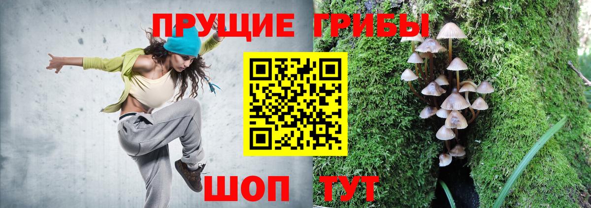 Псилоцибиновые грибы GOLDEN TEACHER  Вход с VPN  Кохма  Псилоцибиновые грибы ЛСД 
